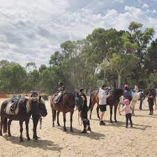 Horse assisted learning (Busselton)